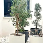 Pensión A-cero Living Alicante