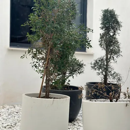 Gæstehus A-cero Living *