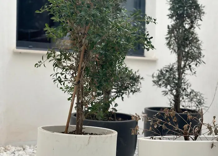 Casa de hóspedes A-cero Living *