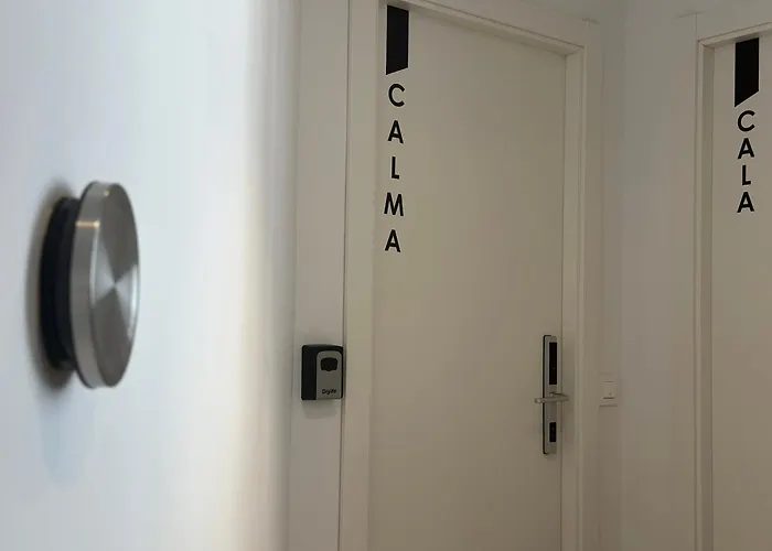 A-cero Living Alicante